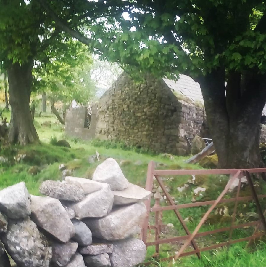 Beautiful Mourne Mountains, Co Down, N  #Ireland. Mournes are made up of 12 mountains with 15 peaks & include the famous Mourne wall (keeps sheep & cattle out of reservoir)! Area of Outstanding Natural Beauty. Partly  @NationalTrustNI. Daniel Mcevoy (with lovely cats!)  #caturday
