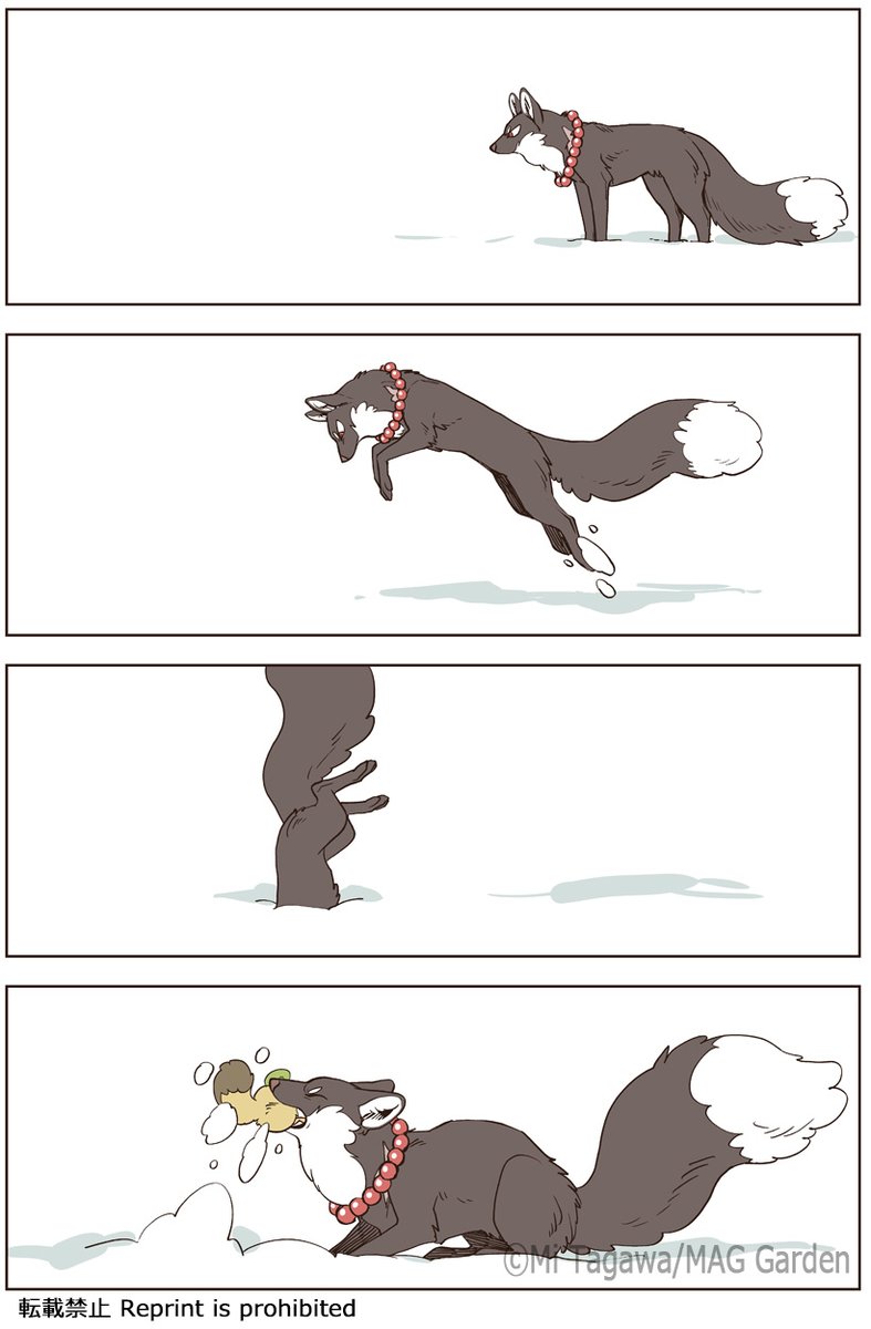 雪と仔狸

#こりせんまん 
