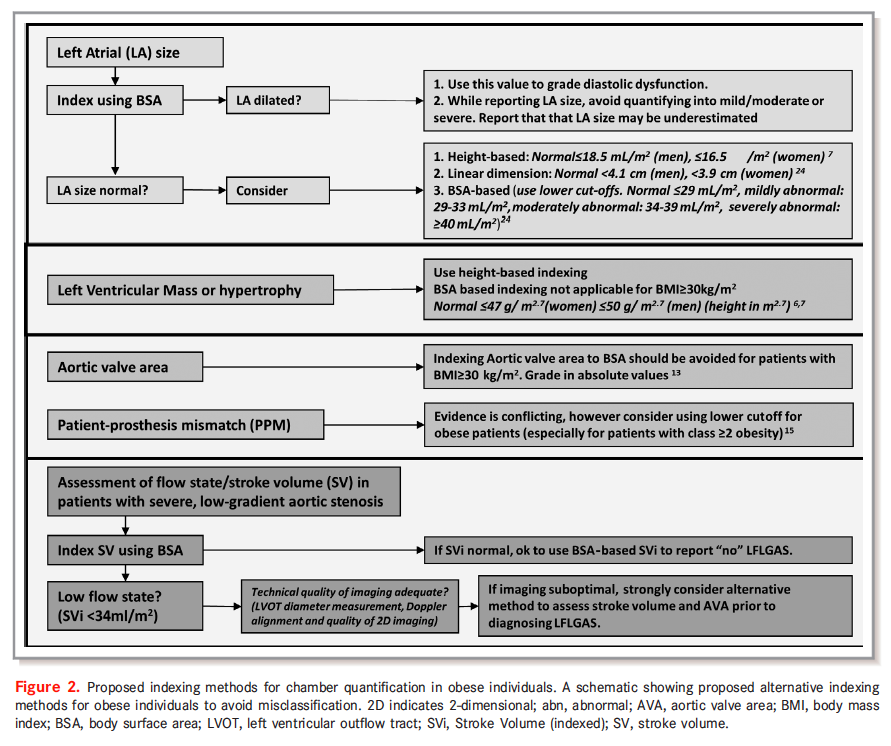 gonzaeperez's tweet photo. Echocardiographic Imaging Challenges in Obesity: Guideline Recommendations and Limitations of Adjusting to Body Size
@JAHA_AHA @pattypellikka #EchoFirst #cardiotwitter 

https://t.co/PnUL0HkbIX https://t.co/ngb8BUrf9y
