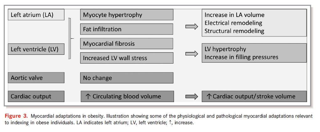 gonzaeperez's tweet photo. Echocardiographic Imaging Challenges in Obesity: Guideline Recommendations and Limitations of Adjusting to Body Size
@JAHA_AHA @pattypellikka #EchoFirst #cardiotwitter 

https://t.co/PnUL0HkbIX https://t.co/ngb8BUrf9y