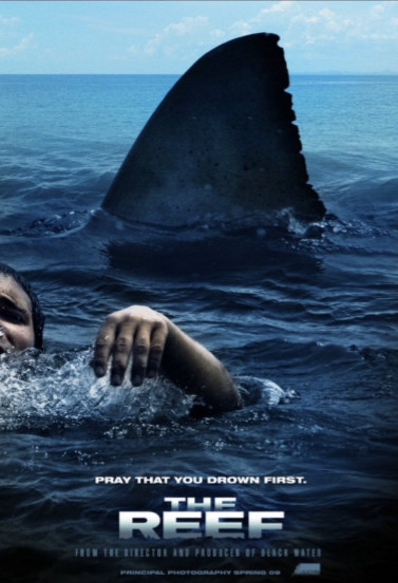 98. The Reef (2010)Surprisingly effective Australian shark antics in which the ancient predator stalks and eats a load of friends who’s boat capsizes near Indonesia