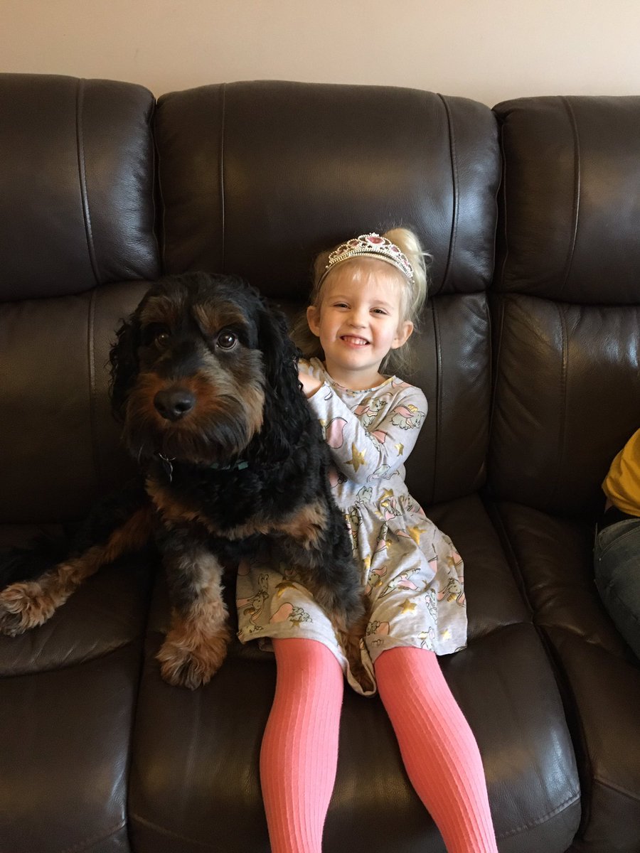 Brunocockerpoo's tweet photo. So happy my best friend has come to see me #dogsoftwitter #BestFriend #bffe #SaturdayMorning https://t.co/nOAOOSlexX