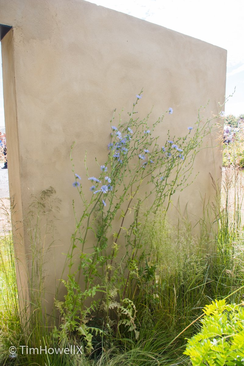 On the 11th day of Christmas #RHSHampton gave to me @UlaMaria1 @The_RHS 'Sanctuary Garden'. This young designer has made a name for herself with her beautiful naturalistic planting. Built by @garden_build sponsored by @MajesticTrees @QuickHedge @AllgreenGroup11 @WowGrass