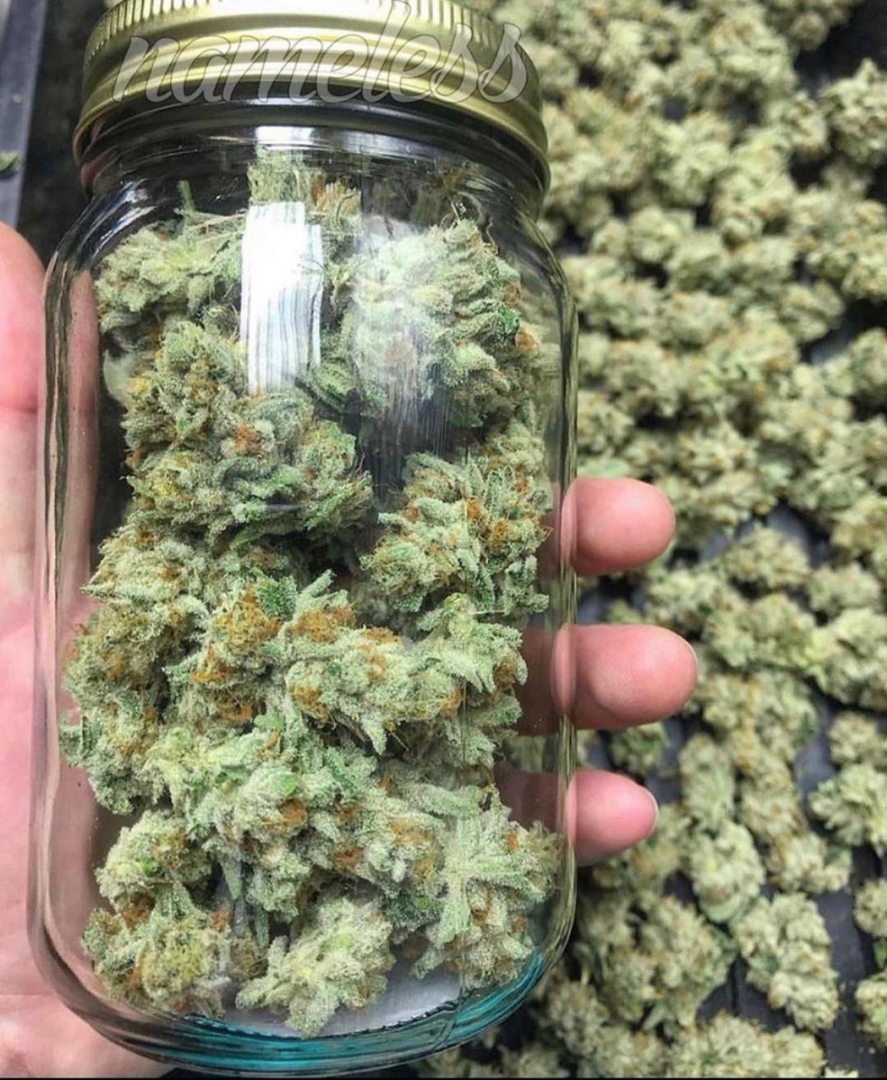 MJTendersociety's tweet photo. Who would you smoke this jar of 
🍒🍒Mega Cherry lime 🍒🍒 with ???
Photo/grown/bred by @megawellness_og @namelessgenetics_ 👏🏼🍁🔥👏🏼🍁🔥#cannabis #terps #nugs #strains #CannabisCommunity #retweet https://t.co/w1izNUEm2h