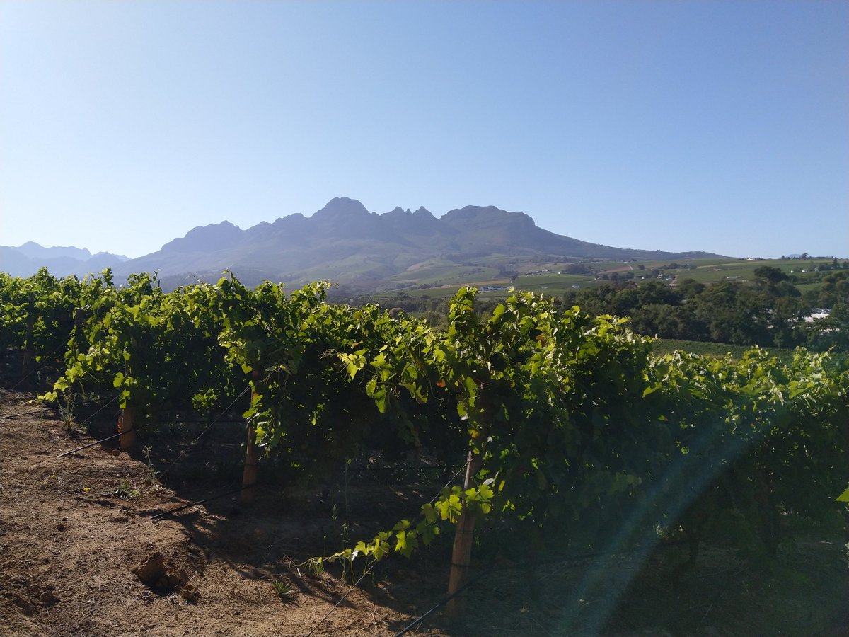 What a morning for a <a href="/Root44parkrun/">Root44 parkrun</a> 😍