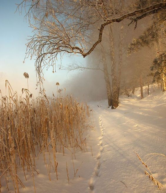 DonatoMarinelli's tweet photo. Anche una sola lacrima
crea un solco così profondo
da segnare un'anima,
è un'emozione
che viene da dentro
forse un sentimento
che nasce dal ricordo
o forse da un tormento

#BuongiornoATutti #4gennaio
#GennaioCon #Casalettori 
#InVoloSenzaRete #SensazioniPoetiche #ParlamiDiPoesia https://t.co/zhCxariAMc