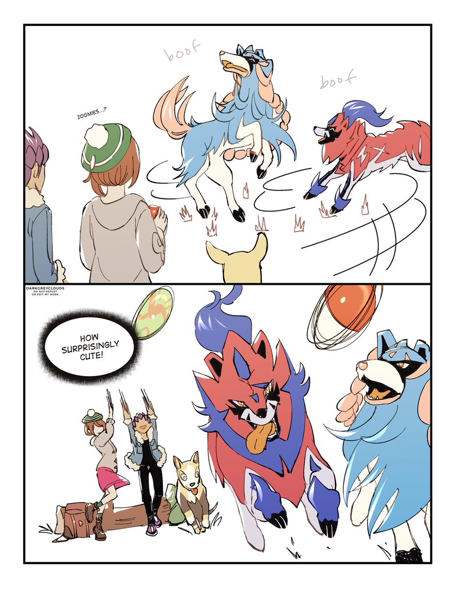 legendary zoomies and tippy taps