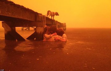 LautaroMirantes's tweet photo. Que hacen que no hablan de esto???

Australia🇦🇺🌏
-🔥600 millones de hectáreas quemadas. 
-🦘500 millones de animales muertos.
-28 personas desaparecidas.
18 muertas.
-La relocalización más grande de su historia. https://t.co/soQE9pIBJU