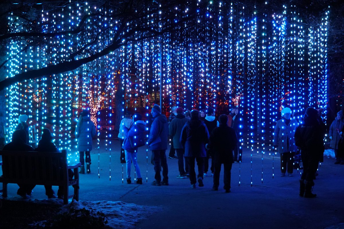 downclimb's tweet photo. Another year, another outstanding display from @botanic at #blossomsoflight. Only 357 days until Christmas! 🎄 https://t.co/qxELeOOPI1