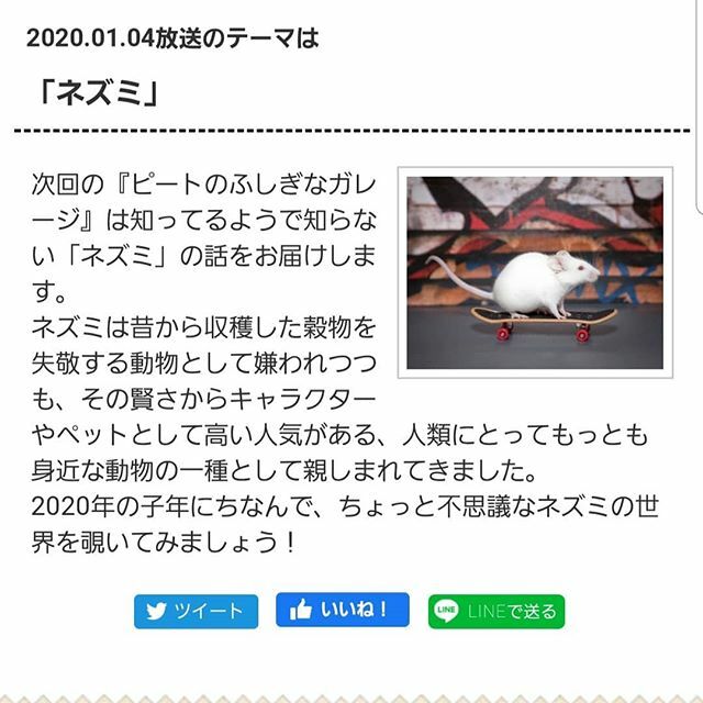 ピートのふしぎなガレージ Hashtag On Twitter