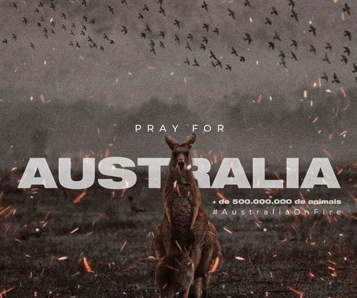 AMBLUISM's tweet photo. Los incendios en Australia están generando la destrucción de la vida silvestre más grande de la historia de la humanidad a una escala sin precedentes.

Son más de 100 los focos de incendios, de lo cual se hace imposible combatirlos y apagarlos #AustraliaFires #AustraliaOnFire https://t.co/9XLHbisl0z