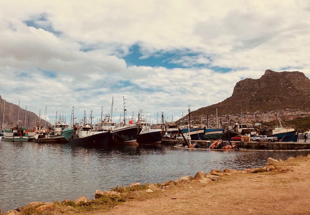 ismaeel_motala's tweet photo. Most underrated city in the world, no cap #021s https://t.co/AHfT0G3Rll