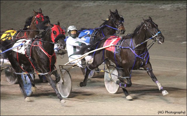 A huge week to end off 2019 &amp; start up 2020 <a href="/TheRacewayWFD/">The Raceway</a> with $2.6M wagered over 4 days of live racing... Thanks for playing!