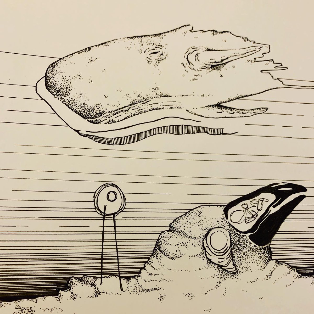 Bobby Hill 🐄 tweet media