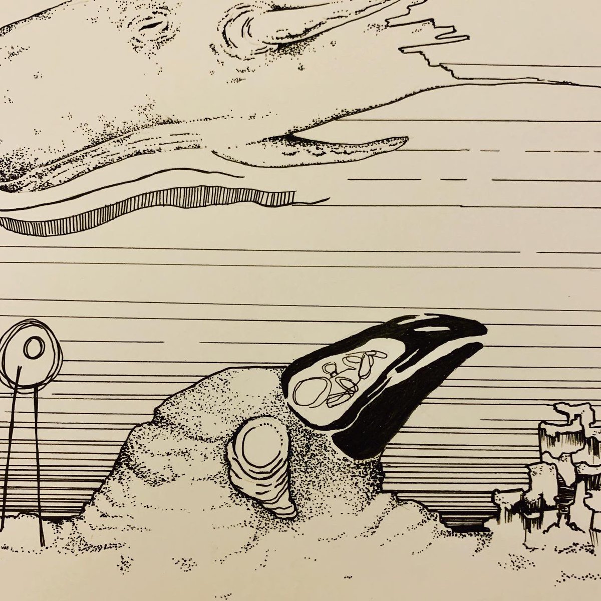 Bobby Hill 🐄 tweet media