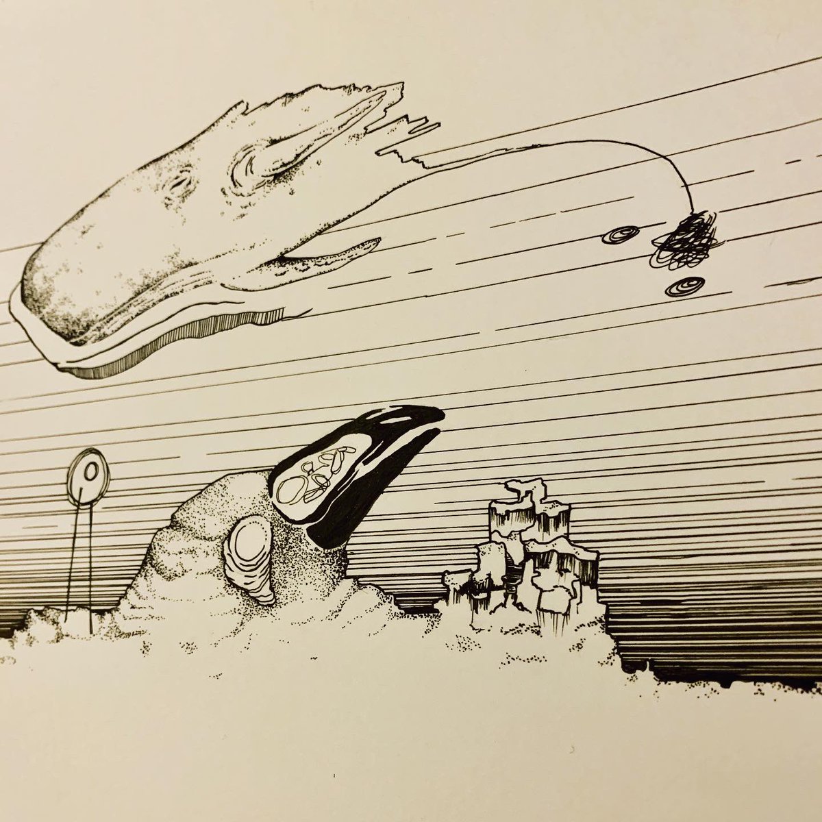 Bobby Hill 🐄 tweet media