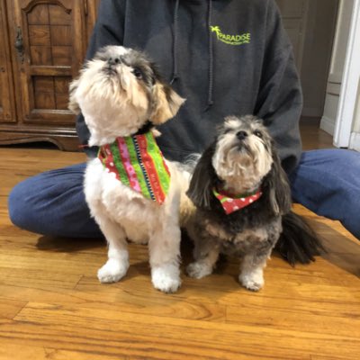 MeeMichele's tweet photo. #NewProfilePic https://t.co/1IuNSPAQvr