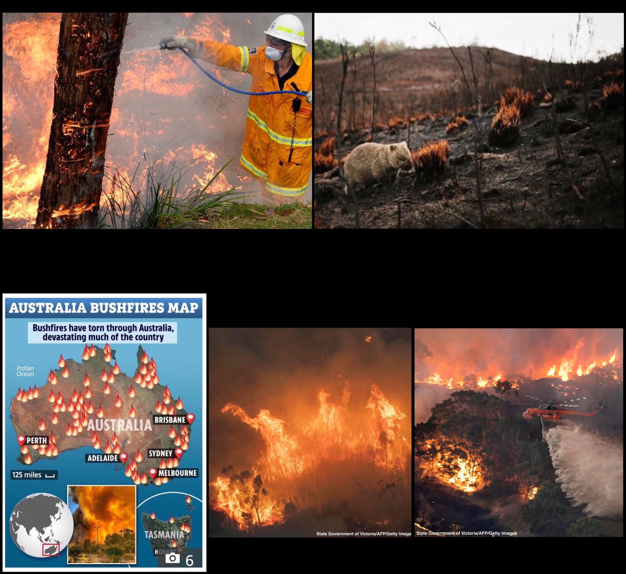 Edwin Musoni Australian Fire Has So Far Covered 1 3 Million Acres Killed 500 Million Animals Flames Of Up To 70 Meters Have Been Reported Half Of The Fire Is Uncontrollable
