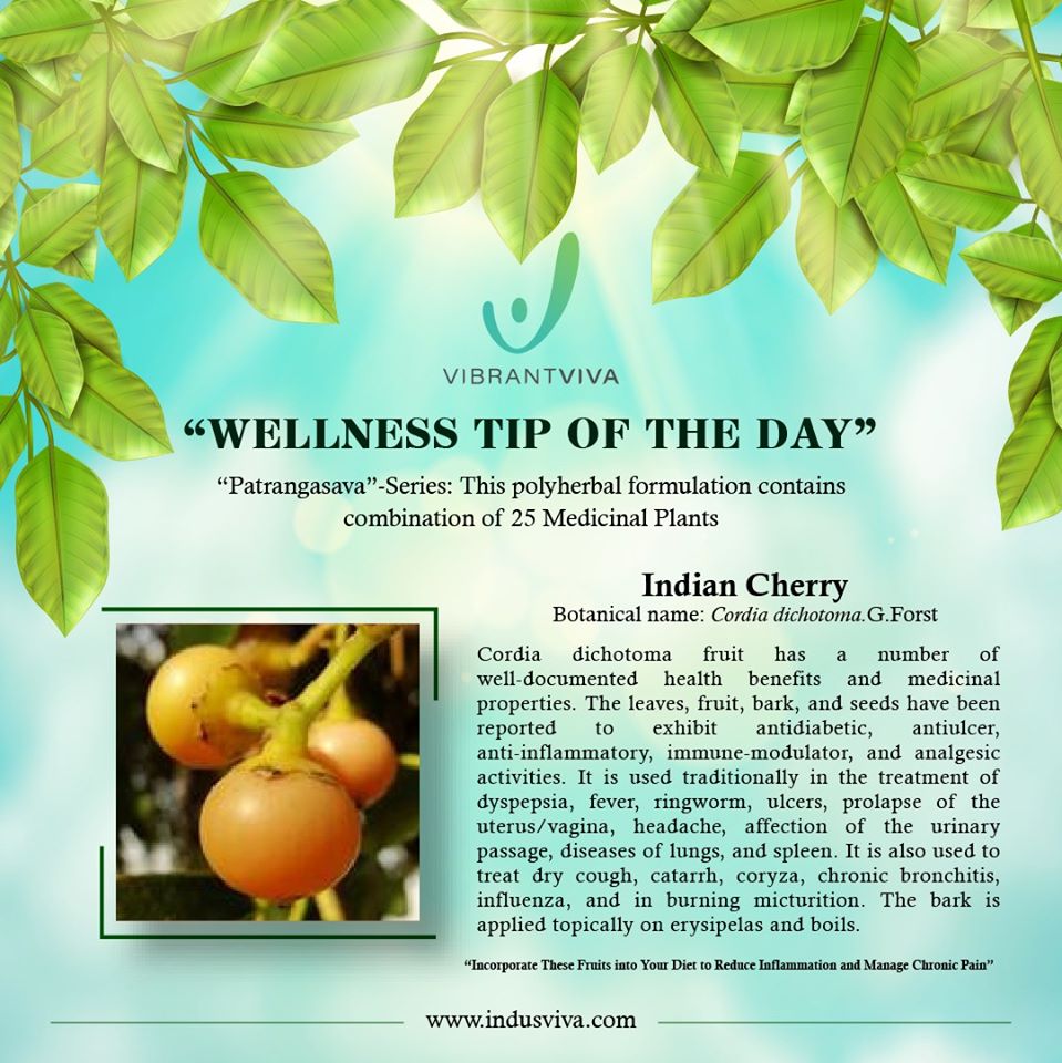 IndusvivaPvt's tweet photo. Wellness Tip of the day
#healthytips #healthylifestyle #ayurvedic #medicinalplants #healthydiet #healthydiet #wellness_tip #vibrantviva #indusviva https://t.co/1RtfTLmWze