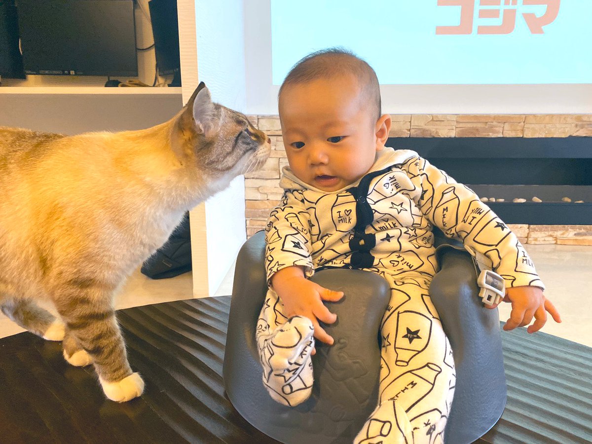 m_dxj's tweet photo. 最近ほっぺた出てきたことが成長の証…… https://t.co/XmLLeMQ6BA