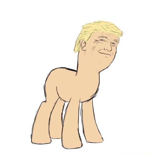 TheSmolBean5's tweet photo. @realDonaldTrump  this is how stupid you look right now dude. https://t.co/5UkD7Y5QW8