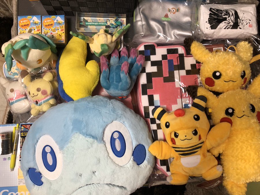 ポケモンセンター福袋21 オンライン予約はいつから 店頭販売は何時から並ぶ 中身ネタバレも ゆるゆる主婦のガチブログ