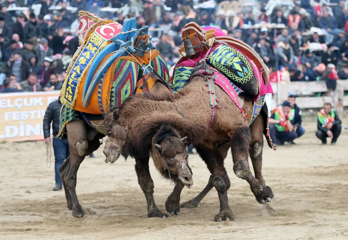 𝗠𝗮𝘁𝘁 𝗖 ² tweet media