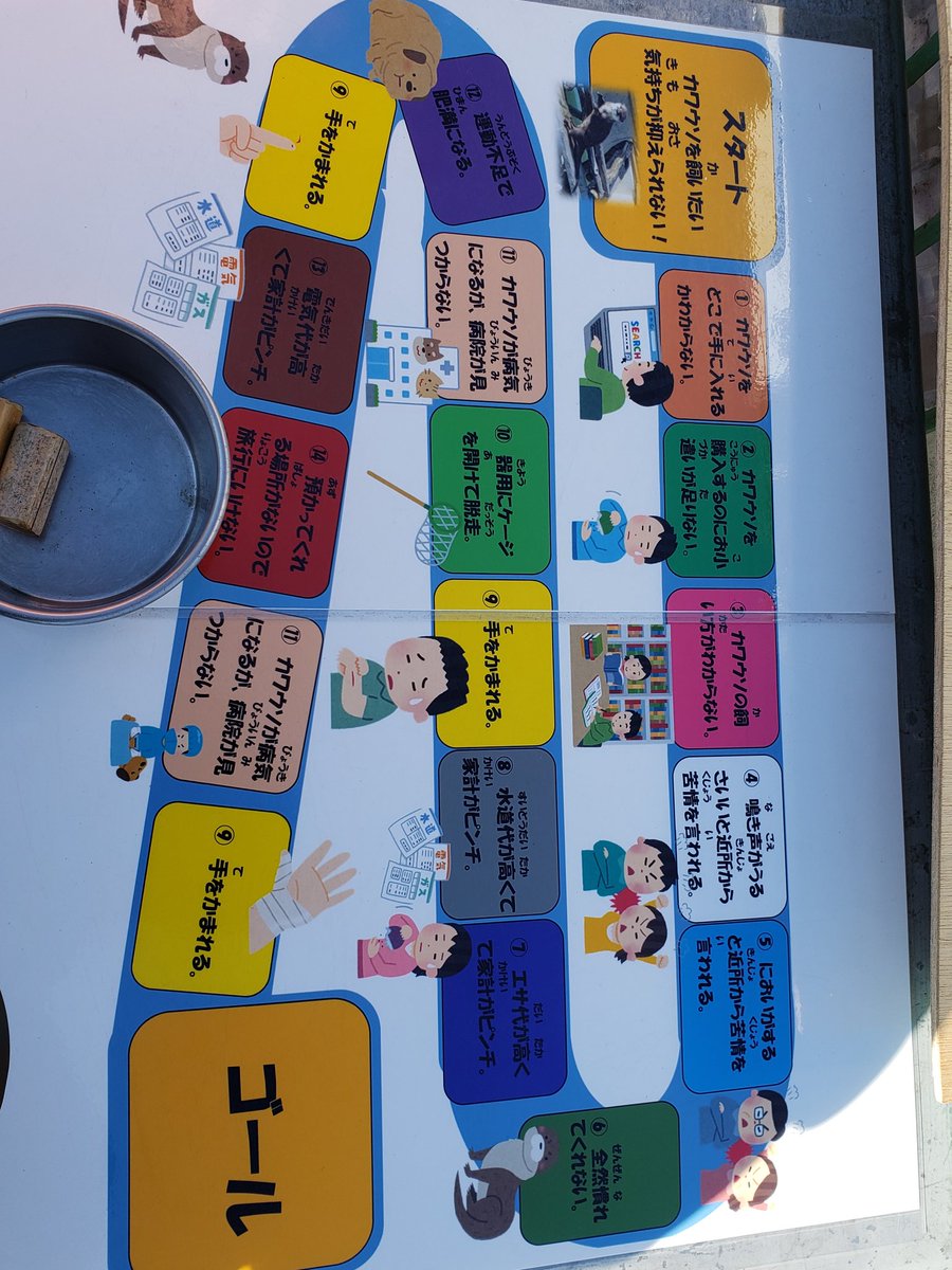 賢者トーデメ オンシーショの聖杯 على تويتر こういった手作りの展示が多くてよく学べる 昔ながらの動物展示だなぁってところもあるけど とにもかくにも いらすとやがいっぱいなんです