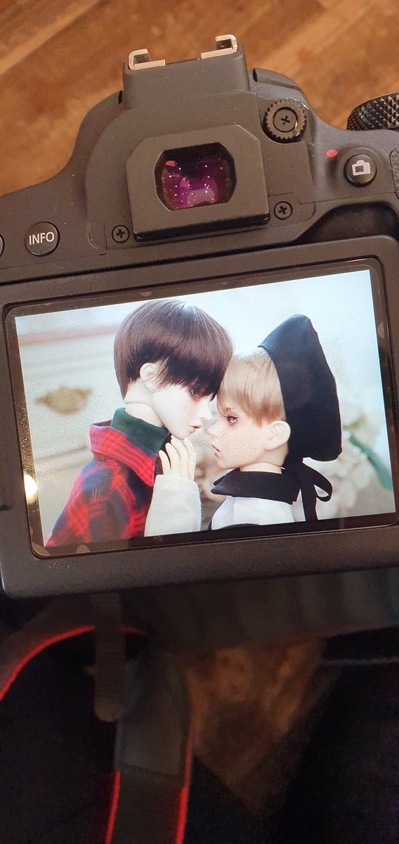 김텔로 tweet media