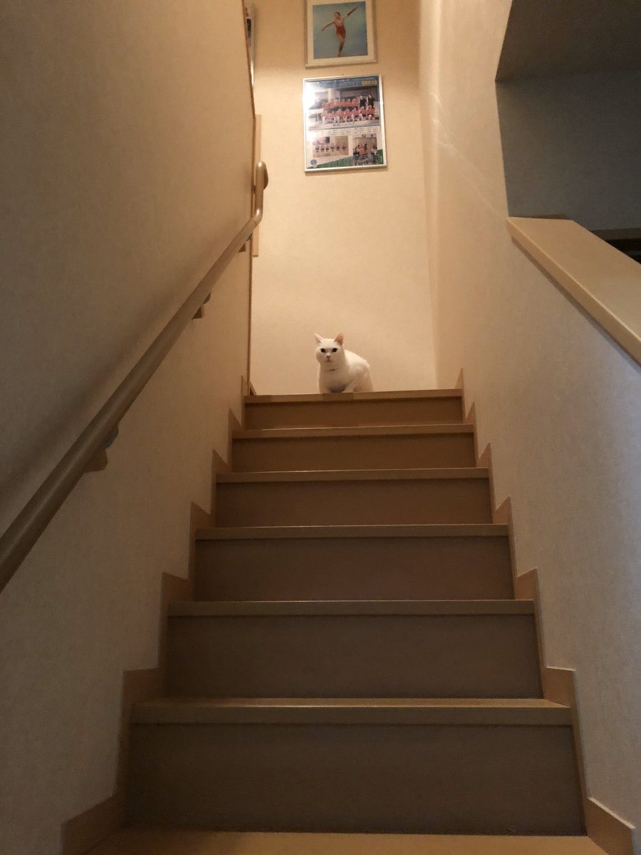 圧倒的ラスボス感