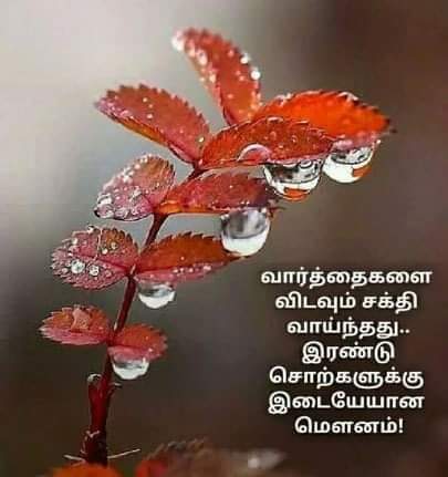 ThamLoveDivine's tweet photo. Touchy.. https://t.co/ME106htjwp