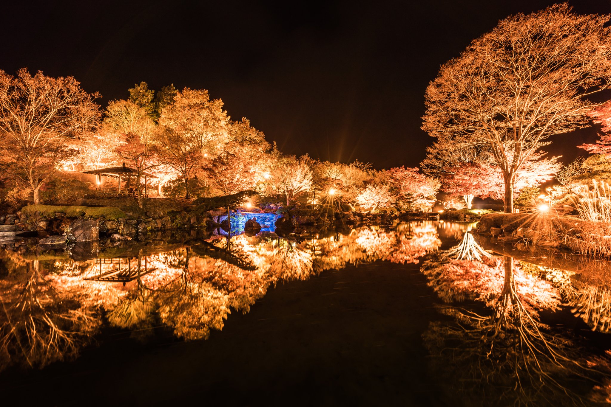 ひでまさ Hidemasa 桜山公園ライトアップ 群馬県藤岡市 桜山公園 藤岡市 ライトアップ 紅葉 東京カメラ部 Pashadelic 絶景delic T Co 59rfhbivm9 Twitter