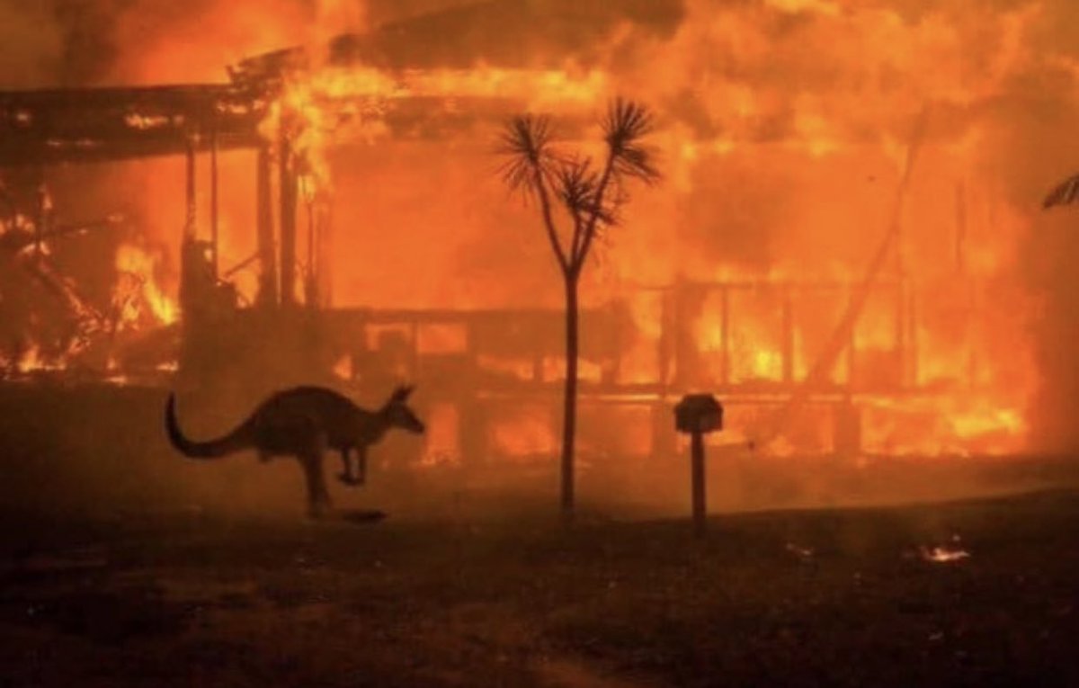 DEAR TWITTER:
Can we all team up and help Australia. We are literally burning to the ground one fire at a time and it’s scary. 
Over 500M animals are dead and so are PEOPLE. 
LINKS TO DONATE ARE BELOW ❤️
#PrayForAustralia 

rfs.nsw.gov.au 

communityenterprisefoundation.com.au/make-a-donatio…