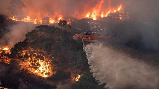 zjm_Icarusfalls's tweet photo. Australia is under fire,the damages are five times greater than those caused by the fire in the Amazon, lost human lives,millions of animals killed by  fires.State of emergency has been decreed.&amp;the media don'tgive fuck,we are ending the planet&amp;we're notdoing anything to save it https://t.co/d2CPr6KzO7