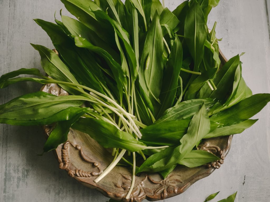 Homemade Wild Garlic Pesto – Eat Seasonal freshfeastsandflowers.com/wild-garlic-pe…