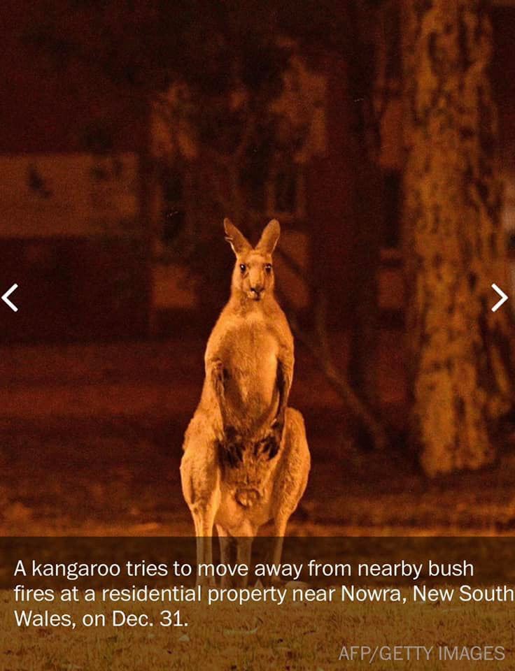 Praying for Australia 🇦🇺 #PrayForAustralia