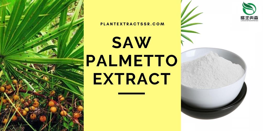 plantextractssr's tweet photo. #Sawpalmetto is an anti-androgen that lowers DHT levels in the body. Because of this, many believe that it can be used to combat hair loss. https://t.co/ZftyS6KC0e #plantextract #fruitextract #nutrition #supplements #herbalextract https://t.co/dgpFse7HUf
