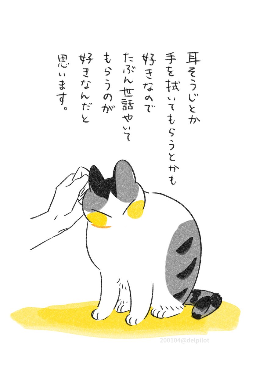 私がツメキリしてるとくっついてくる猫とツメキリ 