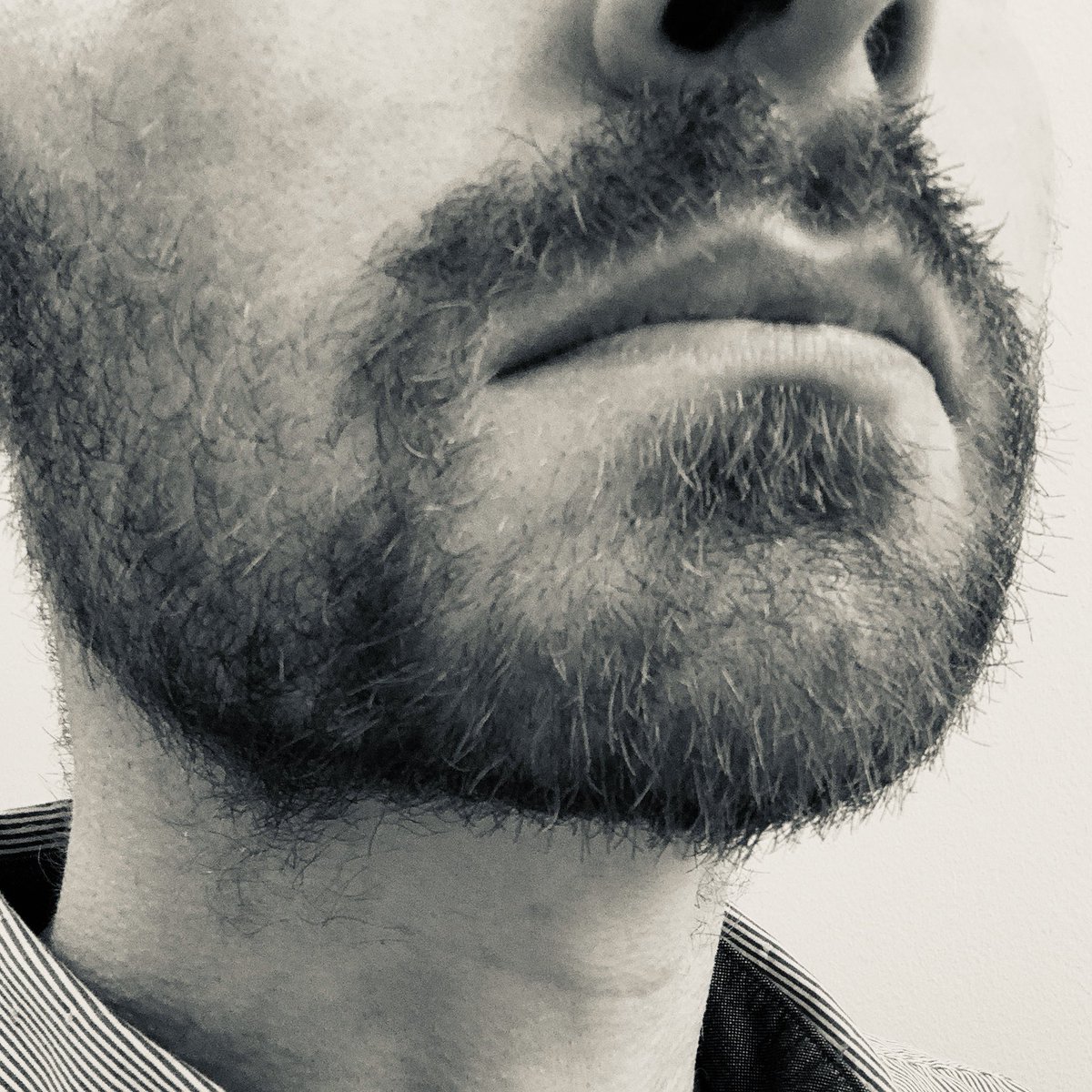 B4ck1n's tweet photo. @Viking_Dave85 @TheMaverickSgt @combat_boot @SRDMaguire We have loved and we have lost. #LeaveBeard https://t.co/eFQy460Gg5