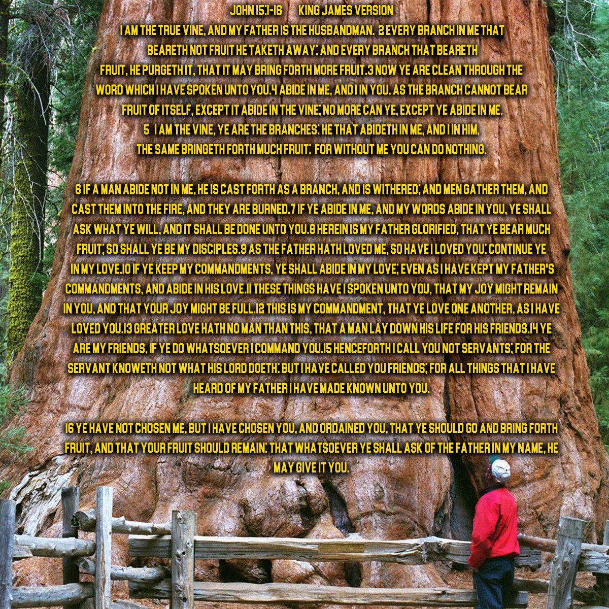 1993FreedomAct's tweet image. #IAmTheVine=#WereBranchesOf=Jn15:1-16

#AllBranchesInCommon Of
#MutualProsperity From

#TreeOfLife= #ThatProduces 
#HeavenOnEarth  #SeedsOfEden In #Fruits
#EternalEquality #Fruitage Is #FruitsThatRemain Of

#VineOfEquality
#InAll
#Nations
#EquallyYokes #Humanity #InAllGenerations