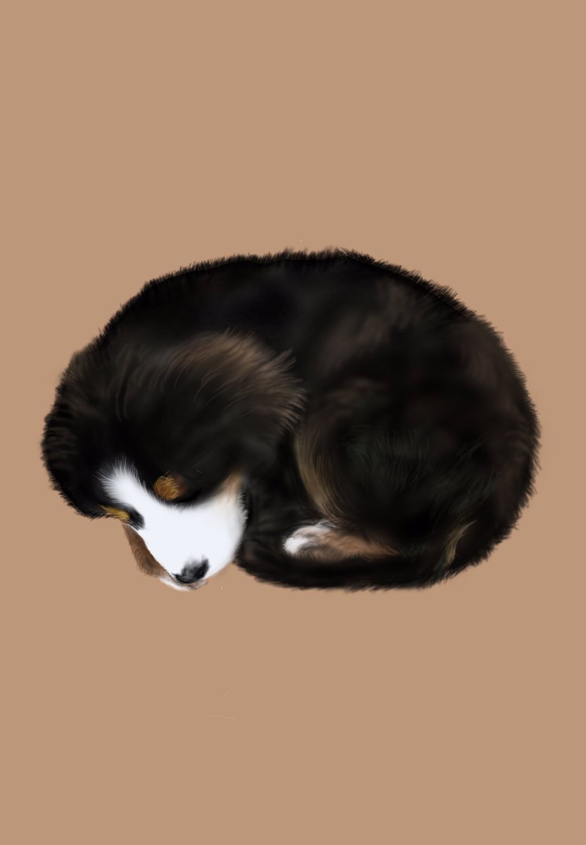 みそすけ Misosuke Tm Twitter みそすけ Misosuke Tm Twitter