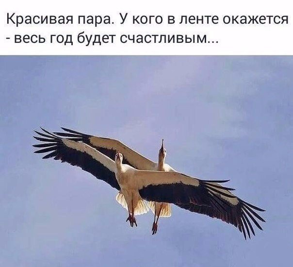 ...пожелать вам счастья!