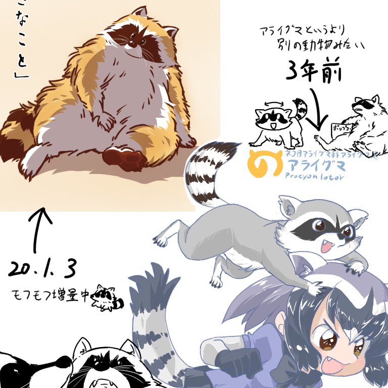 3年前と最新のアライグマ比べ?
本格的に描き始めたのが去年の6月からなのでまだまだ変化の余地ありそう^^
アライグマはどんだけ描いてもたのしーなーヾ(๑╹◡╹)ノ" 