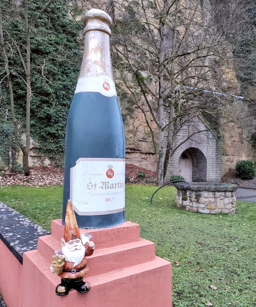 GnomeRuss's tweet photo. Picking up some rosé brut from the #wine country  of #Remich #Luxembourg. Caves St Martin looks like my kind of place! Though, I had a smaller bottle in mind... 🍷 @luxembourginfo https://t.co/lsoHE1CQes