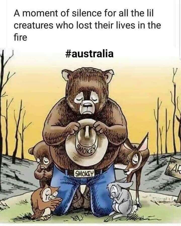 alfie_westie's tweet photo. 🙏 https://t.co/ZYmFR7v9hv