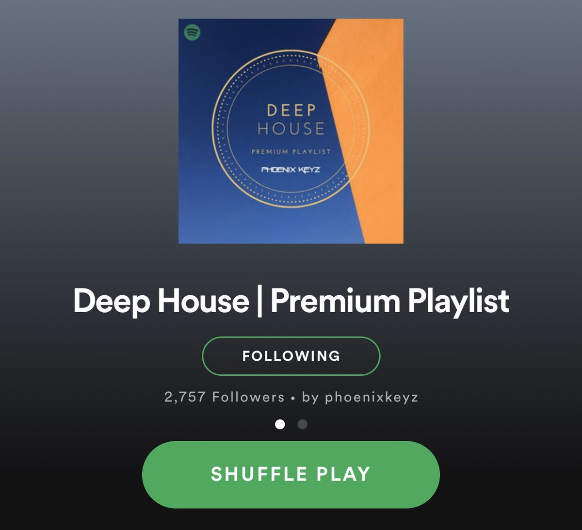 SareySavy's tweet image. Also, a HUGE thank you to @PhoenixKeyz and Jenzo Schlitz for adding "Games" to your Spotify playlist!!!!

#Games