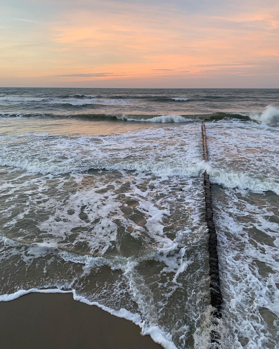 ulrikh88's tweet photo. Посылаю вам красивые фотокарточки Балтийского моря и моих подружек чаек, чтобы вы их так же сильно полюбили 😘
#motherrussia #balticsea https://t.co/WcR7m8czYb