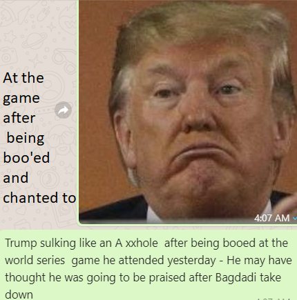 testweeter3's tweet image. A frog looks better than @realDonaldTrump @POTUS   @VP @FLOTUS @CNN @DNC @GOP @kwelkernbc  @MickMulvaneyOMB @ivankatrump @RepLizCheney @TreasurySpox @jaredkushner @DonaldJTrumpJr @msnbc @SecPompeo @DrRandPaul  @KellyannePolls @LindseyGrahamSC @NikkiHaley @mattgaetz grow a spine