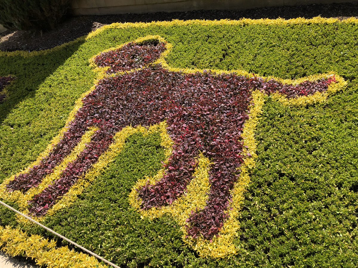 Chris Holyland tweet media