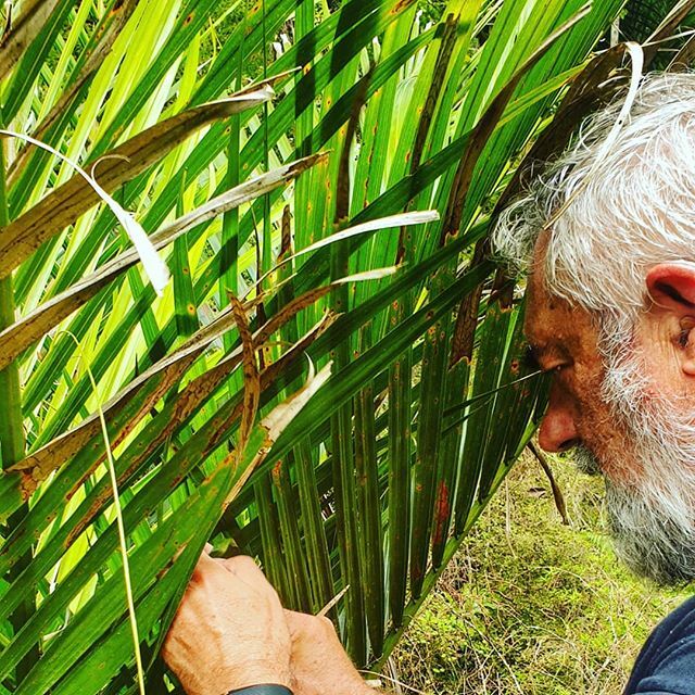 robeanne's tweet photo. A man at work #creating #nikau #wairereboulders #roadtrip #campervanlife #summerholidays #exploringnz https://t.co/tpFZ3166Ii https://t.co/cJrJEFVSB4